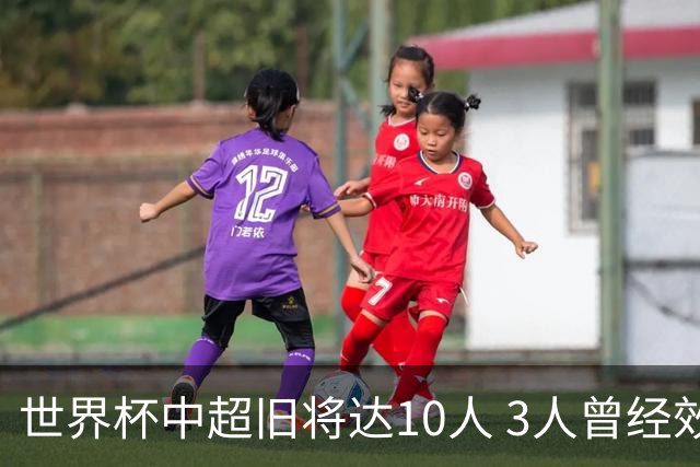 世界杯中超旧将达10人 3人曾经效力国安海港两将