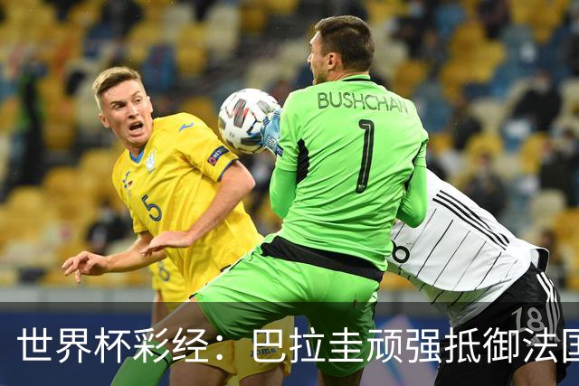 世界杯彩经：巴拉圭顽强抵御法国