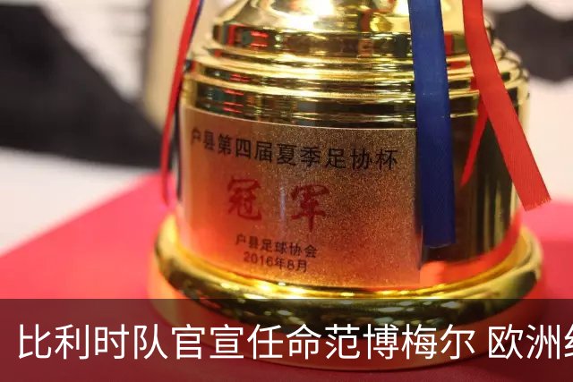 比利时队官宣任命范博梅尔 欧洲红魔再请荷兰教头