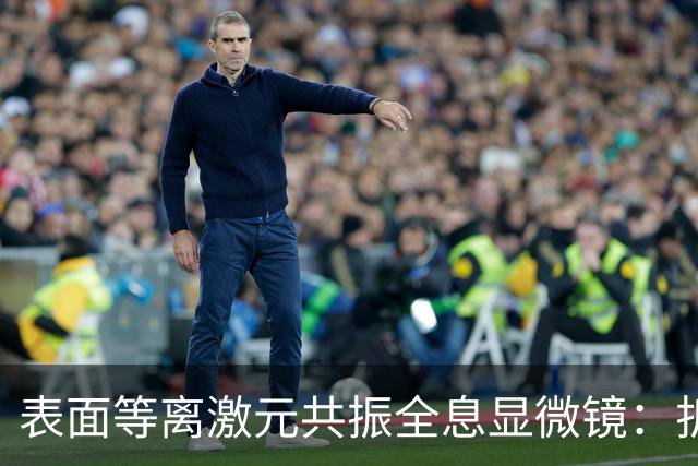 表面等离激元共振全息显微镜：折射率与厚度测量的新突破