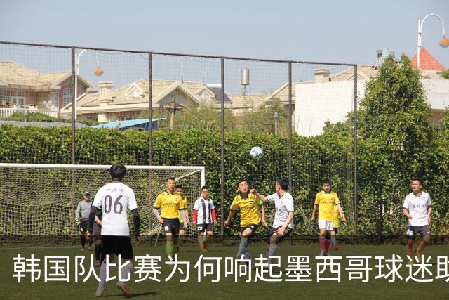 韩国队比赛为何响起墨西哥球迷助威声 奇妙的缘分源自8年前
