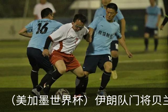 （美加墨世界杯）伊朗队门将贝兰万德的“满分”