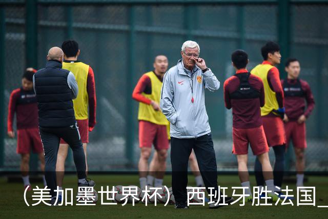 （美加墨世界杯）西班牙胜法国 队史第二次闯入世界杯决赛